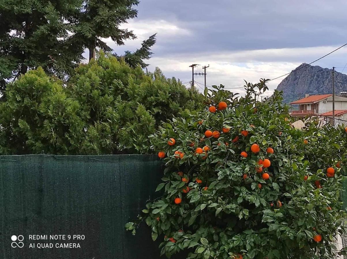 Nafplio Breeze Άνετη Διώροφη Κατοικία Από 4 Έως 9 Επισκέπτες エクステリア 写真